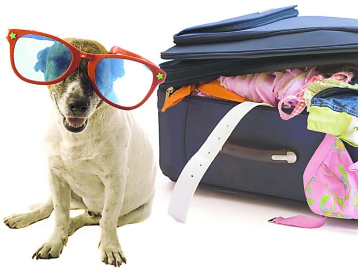 Фото с сайта www.petsit.com