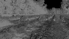 «Нам всем вместе работается весело». Фото Зои ТЮРИНОЙ