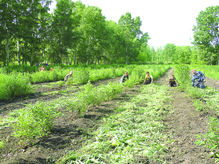 «Нам всем вместе работается весело». Фото Зои ТЮРИНОЙ
