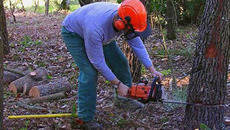 Фото с сайта drsu-2003.ru