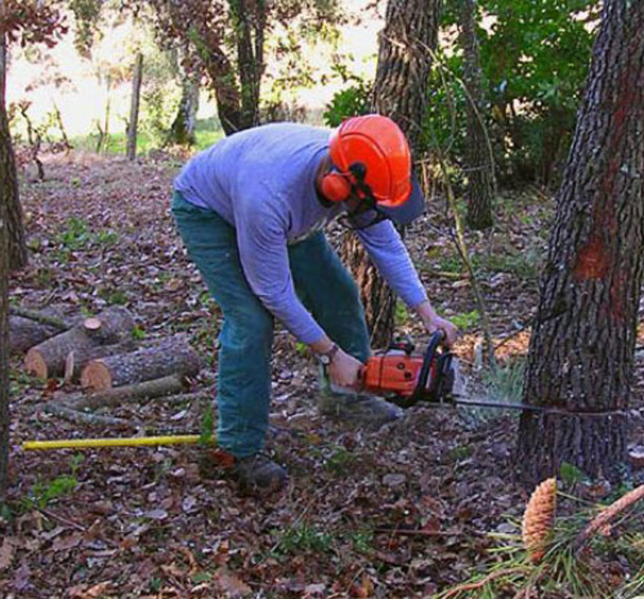 Фото с сайта drsu-2003.ru