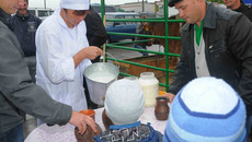 На фестивале молока свою продукцию представили семь переработчиков. Фото Марины ЛУПЕЙКЕНЕ