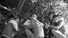 За рабочие места они конкурируют не с нами, а преимущественно друг с другом. Фото Михаила ПЕРМИНА