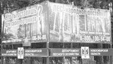 Фото Михаила ПЕРМИНА