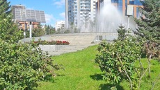 Озеленение открывает перед благоустроителями большие возможности. Фото Николая НАУМОВА