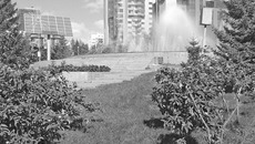 Озеленение открывает перед благоустроителями большие возможности. Фото Николая НАУМОВА