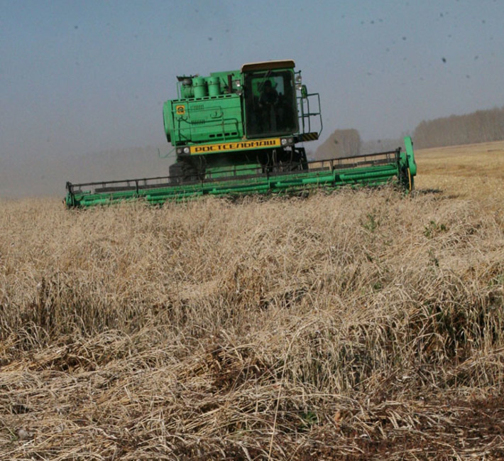 Фото Бориса МОСКВИНА