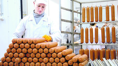 ОАО «Кудряшовское», Колыванский район: инвестиционный проект по увеличению производственных мощностей свинокомплекса на 100 тыс. голов. Стоимость проекта — 2,6 млрд рублей. Реализация позволит предприятию перейти на современные стандарты свиноводства, увеличить производство свинины до 40 тыс. тонн мяса в живой массе. Фото Михаила ПЕРМИНА