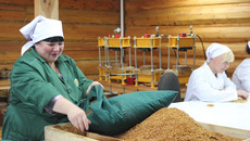 Фото предоставлено департаментом лесного хозяйства правительства НСО