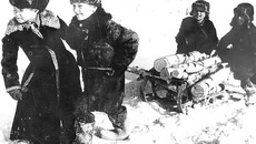 Школьники заготавливали дрова семьям фронтовиков. Фото Бориса ШУМАКОВА (из архива редакции)