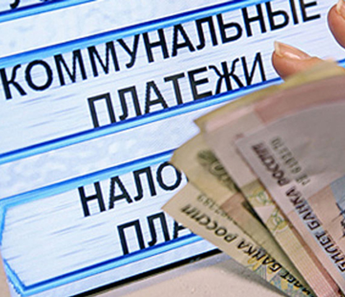 Внесенная через платежные системы оплата за конкретную услугу отражается в РИС. Фото с сайта www.orelgrad.ru