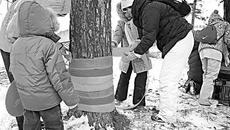 Фото присланы Дарьей КОСИНЦЕВОЙ
