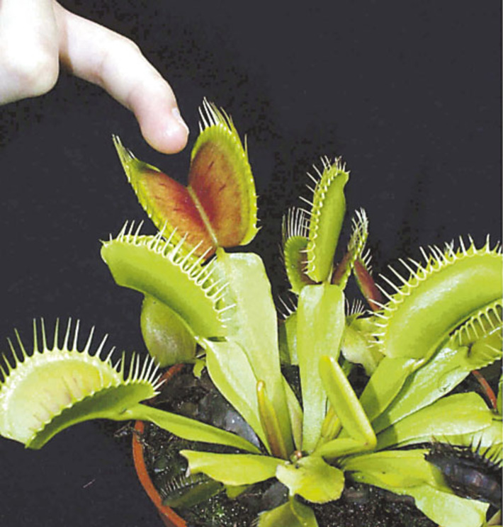 Фото присланы Еленой ИВАНОВОЙ