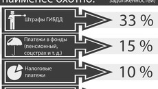 Инфографика Никиты СЕНАТОРОВА