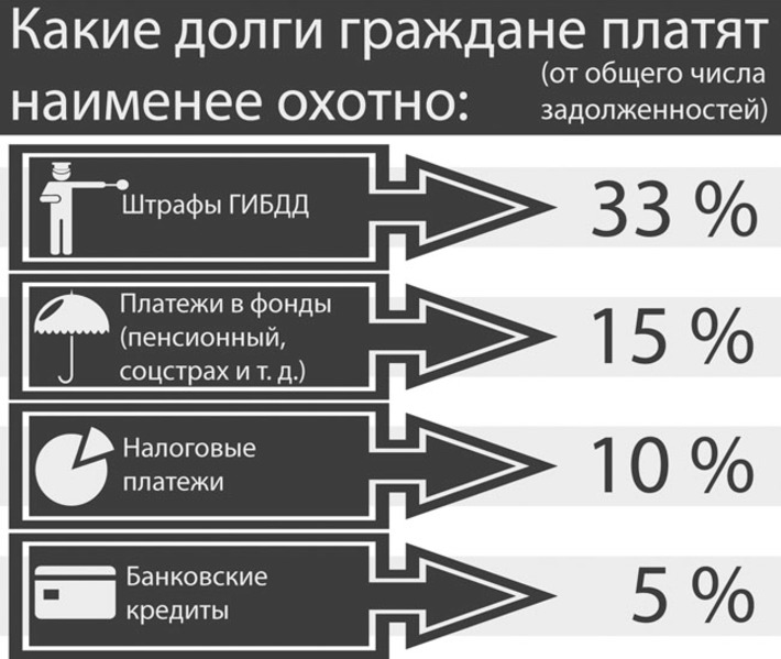 Инфографика Никиты СЕНАТОРОВА