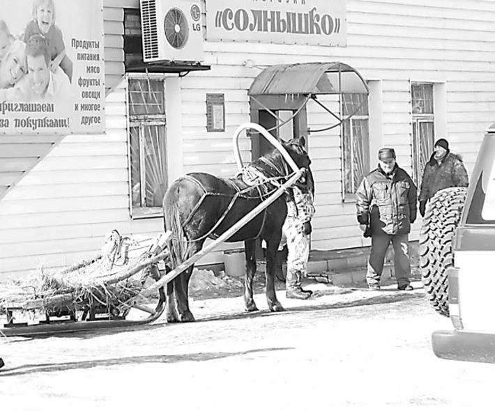 Государственная программа развития местного самоуправления призвана дать опору селу. Фото Михаила ПЕРМИНА