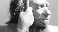 Два зуба и фрагмент мизинца — по этим находкам в Денисовой пещере представить внешность денисовца можно лишь с помощью воображения. Фото с сайта vlasti.net