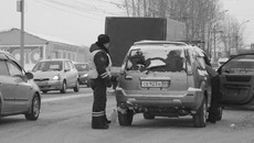 Фото Михаила ПЕРМИНА