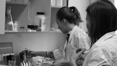 Институт цитологии и генетики СО РАН. Лаборатория рекомбинационного и сегрегационного анализа. Фото Юлии НАЗАРЕНКО