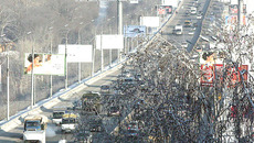 На дорогах и улицах Новосибирска  демонтируют треть наружной рекламы. Фото Михаила ПЕРМИНА