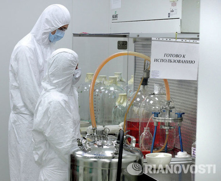 Из 44 заявленных новосибирцами разработок, направленных на борьбу с социально значимыми инфекциями, финансирование получили пока только 25. Фото РИА «Новости»