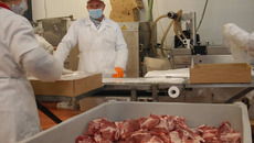 С введением технического регламента заготовка мясопродуктов будет производиться более цивилизованным методом. Фото Михаила ПЕРМИНА