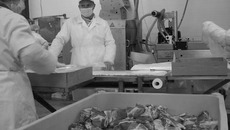 С введением технического регламента заготовка мясопродуктов будет производиться более цивилизованным методом. Фото Михаила ПЕРМИНА