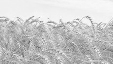 Фото с сайта allday2.com