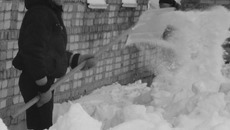 Общественные и временные работы — всегда актуальная занятость