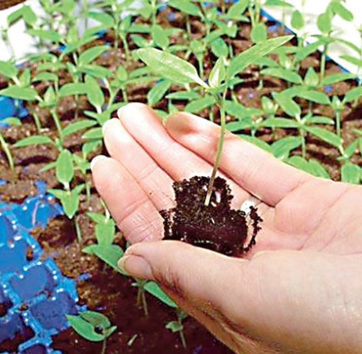 Фото с сайта exo.in.ua