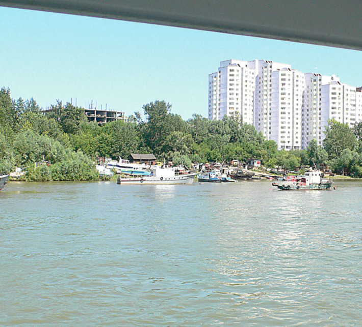 Набережная должна стать центром эстетики. Не случайно здесь традиционно проводятся выставки ландшафтного дизайна. Фото Алексея НИКОЛАЕВА