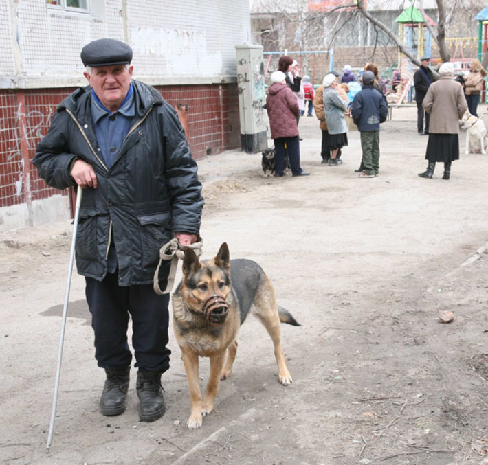 Ежегодную вакцинацию для домашних животных никто не отменял.  Фото Андрея БАУЛИНА