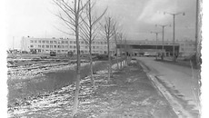 Так выглядел новосибирский аэропорт Толмачёво в 1965 году