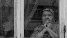 Фото с сайта scan-interfaks.ru