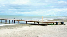 Фото с сайта www.avasilieva.ucoz.es