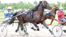 Конные бега: зрелищно и азартно. Фото Аркадия УВАРОВА