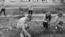 Школьники Искитимского района активно вступают в трудовые отряды, организуемые центром занятости населения. Фото с сайта mintrud.nso.ru