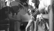 Коллаж Михаила ЗАБУГИ