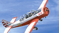 Фото с сайта avsimrus.com