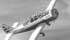 Фото с сайта avsimrus.com