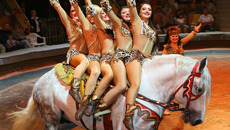 Фото с сайта www.amazonki.ucoz.ru