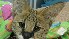 Фото предоставлены Евгением КОЗЛОВЫМ