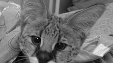 Фото предоставлены Евгением КОЗЛОВЫМ