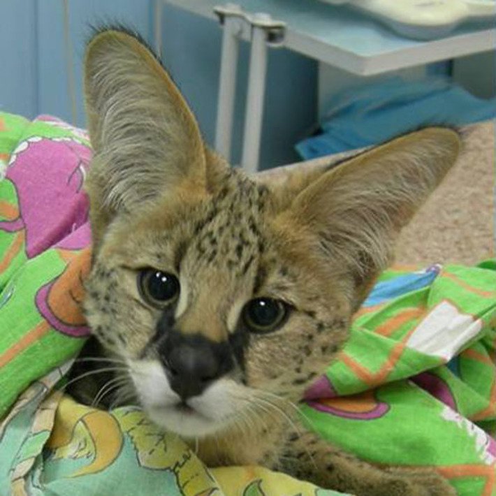 Фото предоставлены Евгением КОЗЛОВЫМ