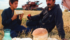 К отцу в поле. Фото Бориса МОСКВИНА