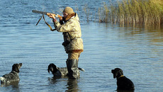 Самый популярный вид охоты — на водоплавающую дичь. Фото с сайта www.activeclub.com.ua