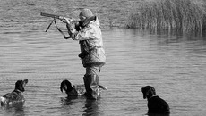 Самый популярный вид охоты — на водоплавающую дичь. Фото с сайта www.activeclub.com.ua