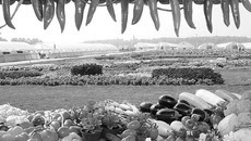 Фото Михаила ПЕРМИНА