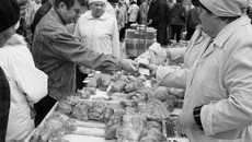 Прилавкам и линиям переработки не пустовать. Фото Бориса МОСКВИНА