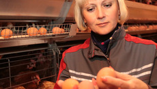 Продукцию проверяет Юлия Исмайлова. Фото Михаила ПЕРМИНА